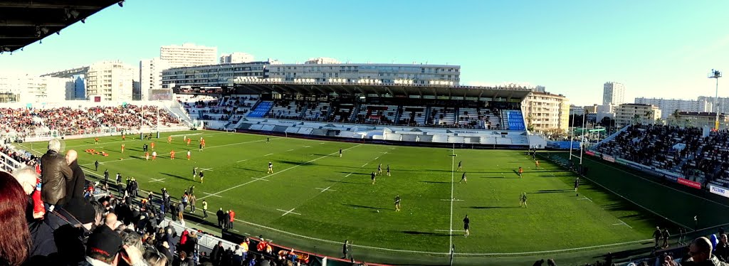 Pelouse du stade Mayol,Toulon (THIEU) by Provensal Mathieu