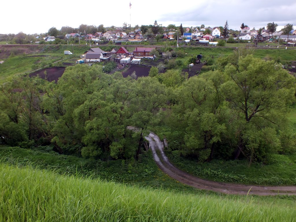 Mtsensk, Orlovskaya oblast', Russia by Nik Tochenov