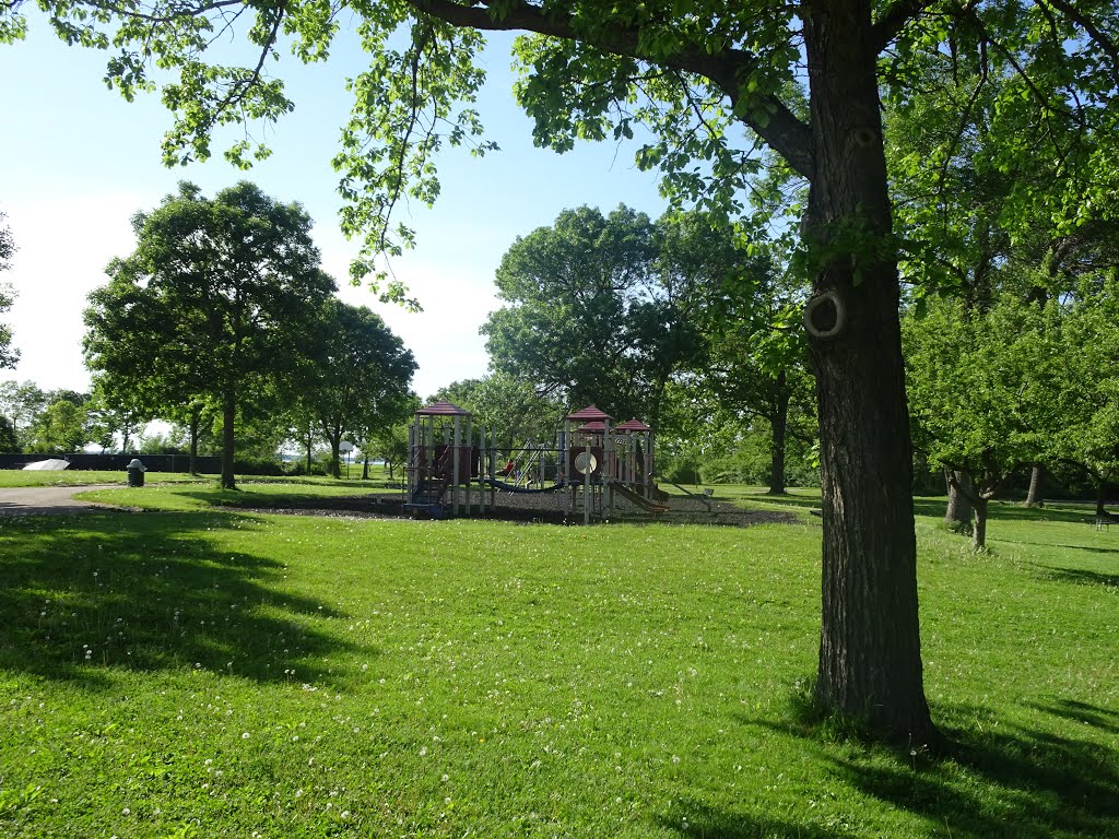 Tenney Park Playground by Corey Coyle