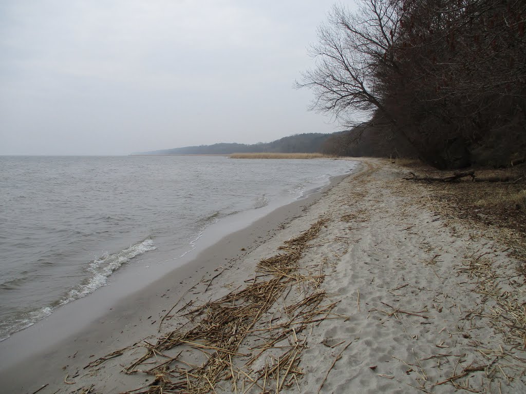 Okolice Kamminke - plaża nad Zalewem Szczecińskim by Piotr Deresiński