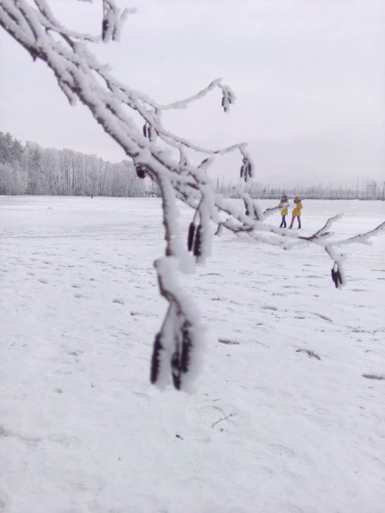 Ryazansky District, Ryazan Oblast, Russia by Иван Петров