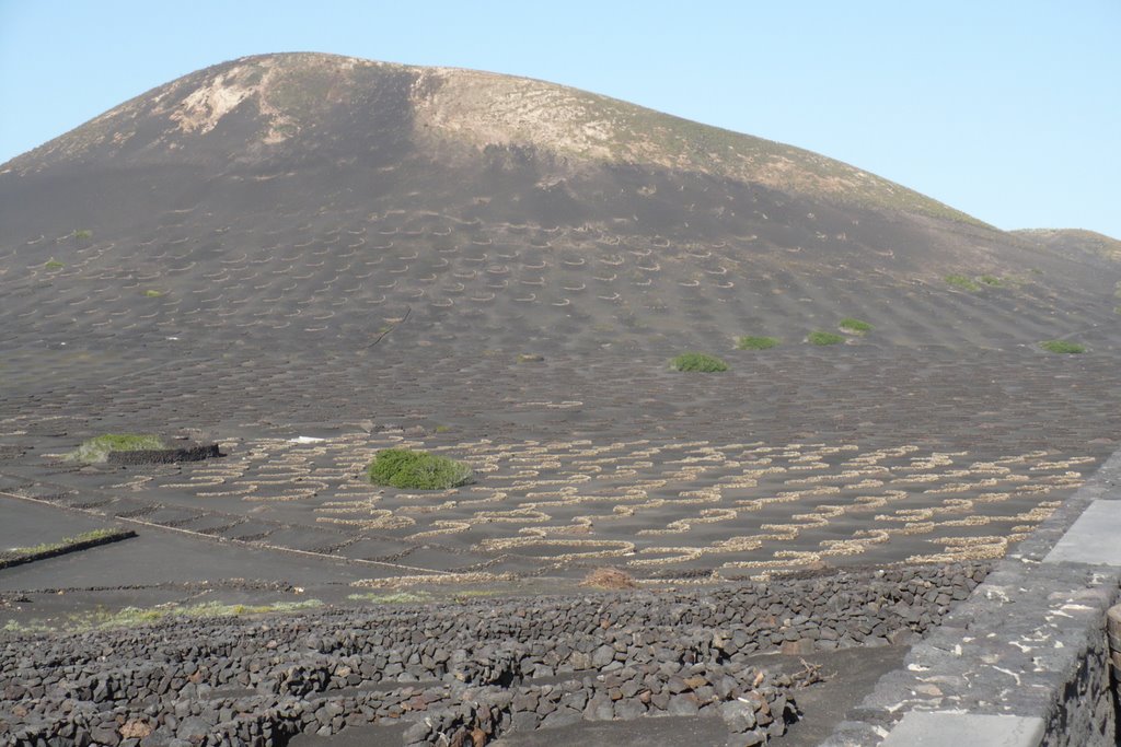 Lanzarote,La Geria by piszczyk