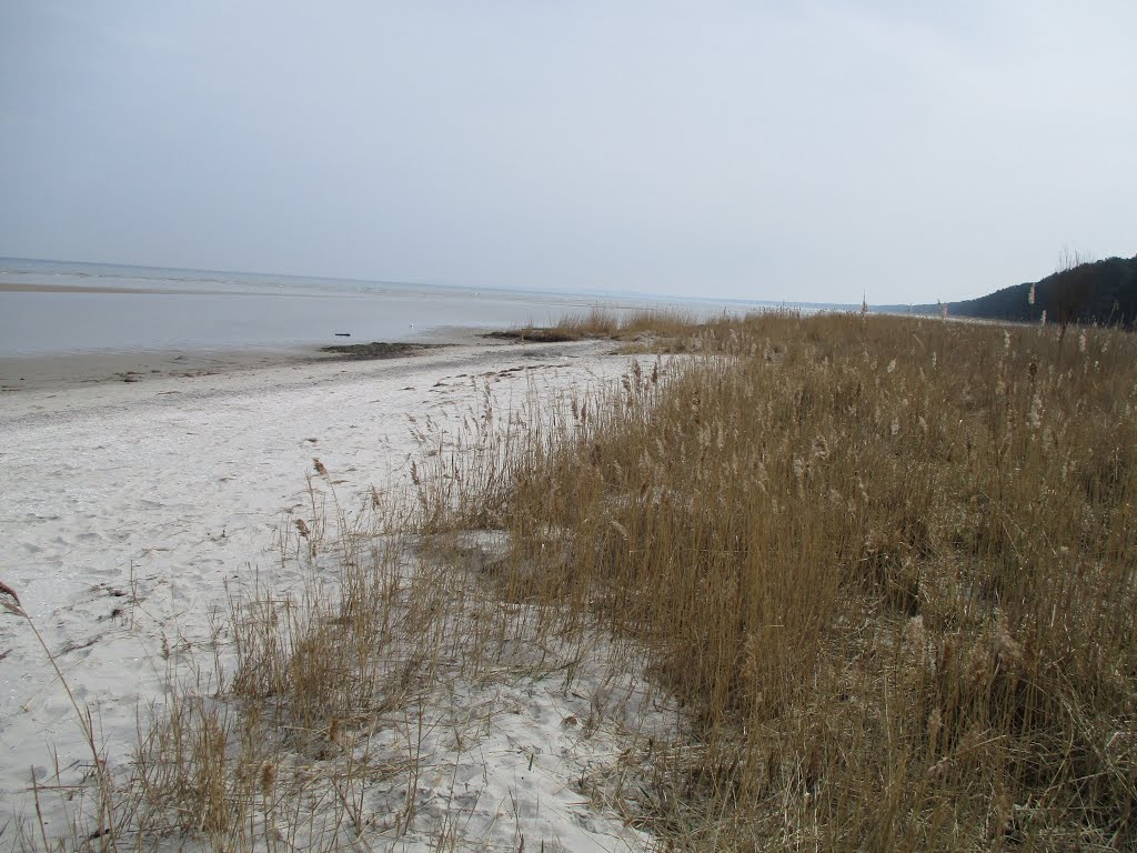 Plaża pomiędzy Peenemünde a Karlshagen by Piotr Deresiński