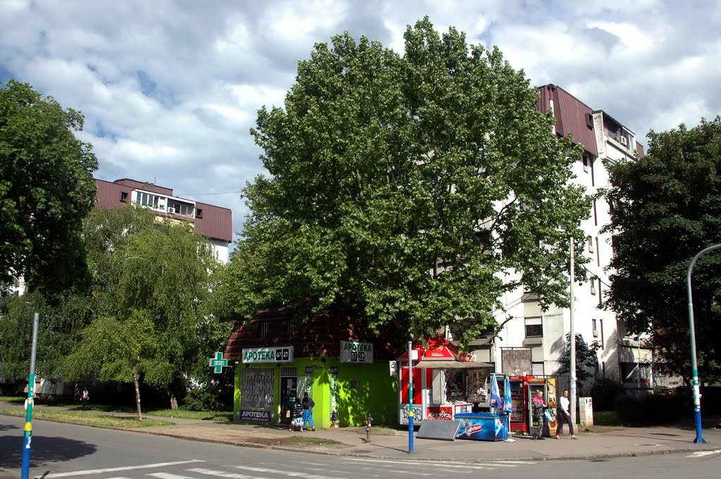 Zemun Polje by Teča sa Dunava