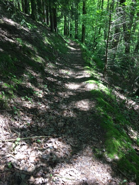 Premiumwanderweg "Himmelssteig" Bad-Peterstal by Oberkircher