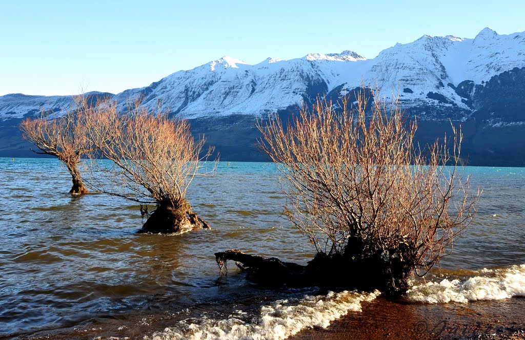 Glenorchy 9372, New Zealand by Jaideep Chaudhary