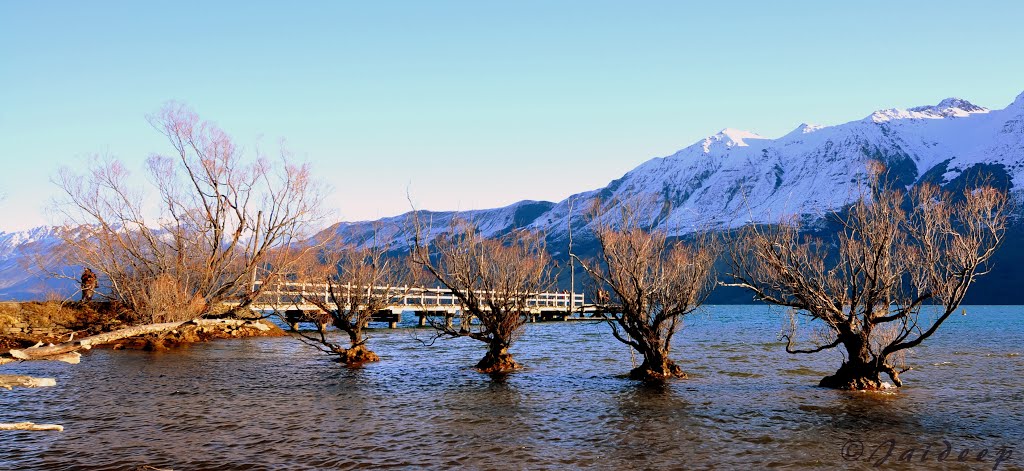 Glenorchy 9372, New Zealand by Jaideep Chaudhary