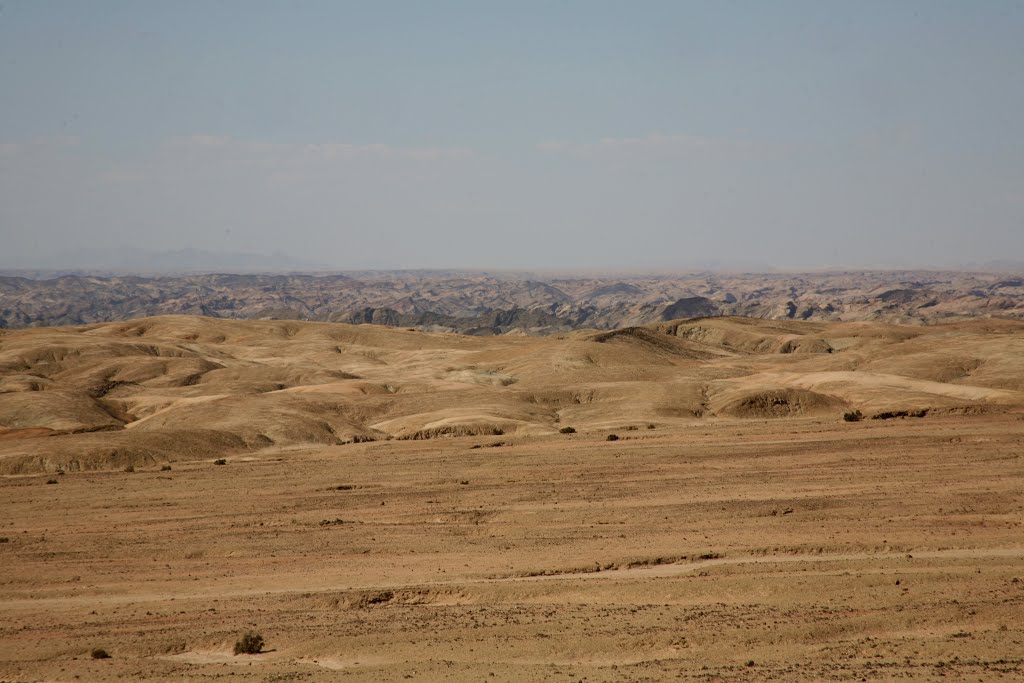 Moon Landscape, Welwitschia Plains, Erongo, Namibia by Hans Sterkendries