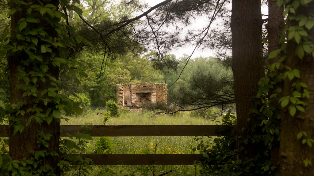 Falling Apart House by Brock S.