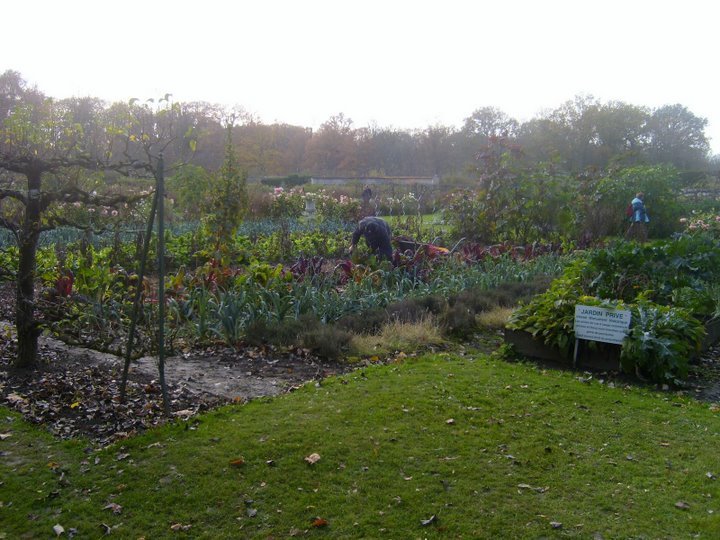 Saint jean de Beauregard: les jardins du château by rv8427