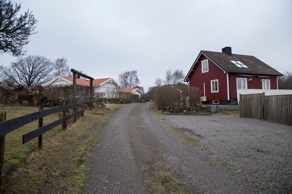 Solglimtsstigen, Varberg, Sverige by Jorfro