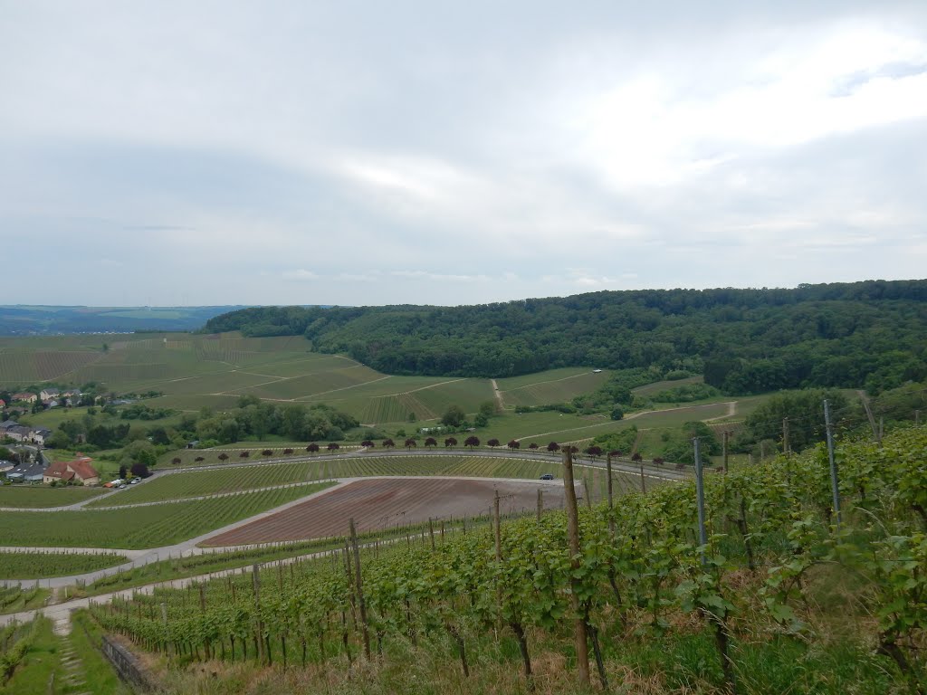 Schengen, Luxembourg by Nikos Sarantakos