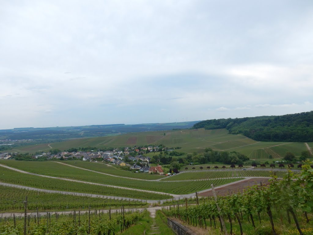 Schengen, Luxembourg by Nikos Sarantakos