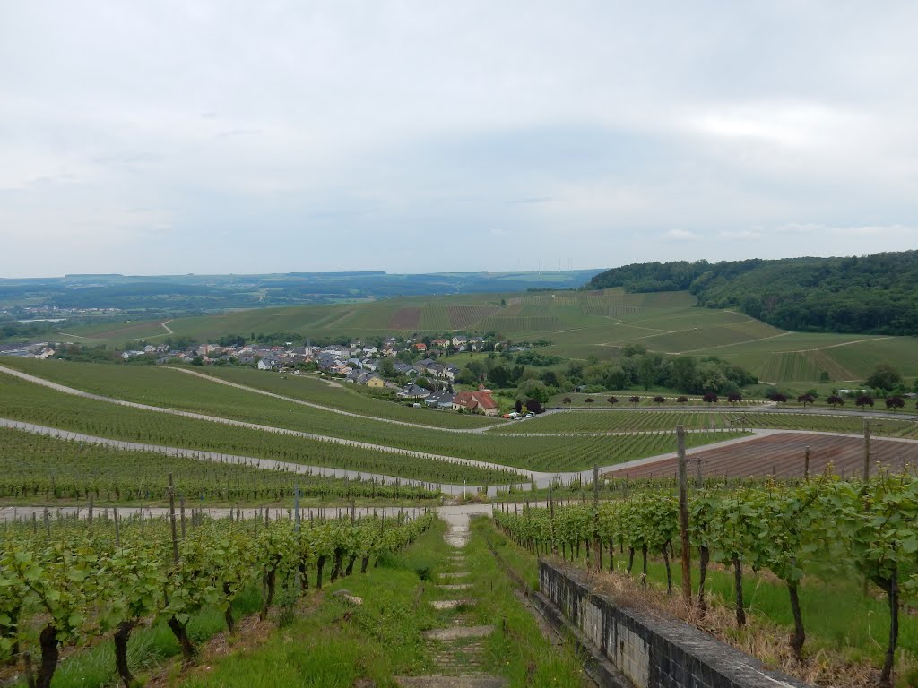 Schengen, Luxembourg by Nikos Sarantakos