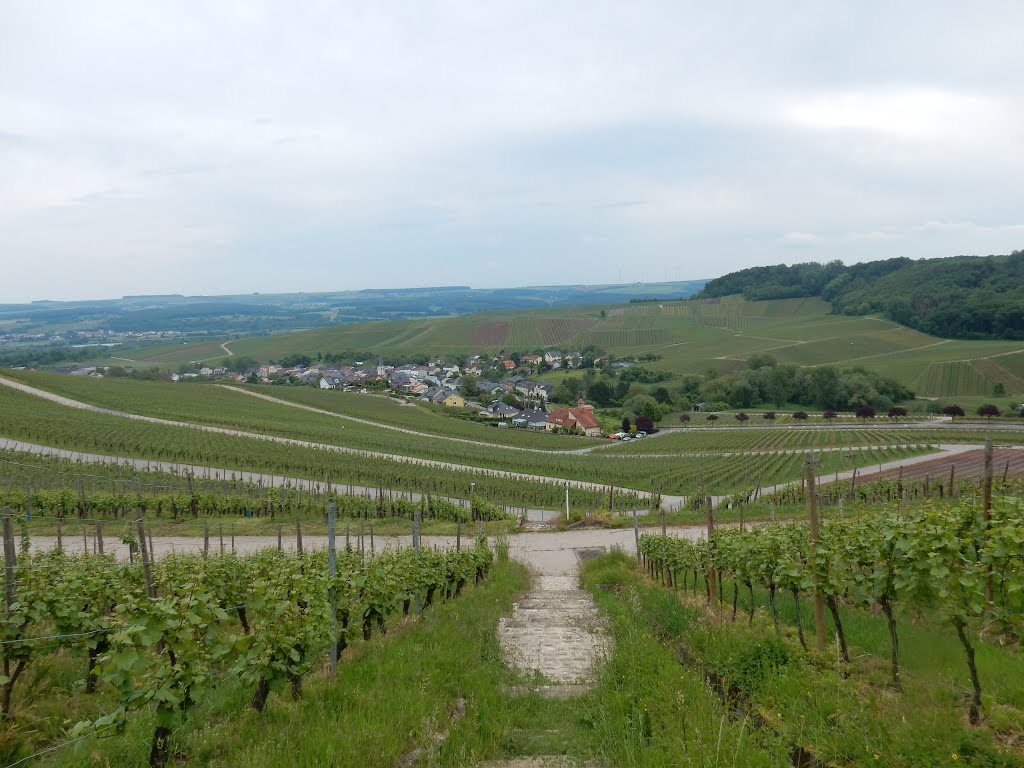 Schengen, Luxembourg by Nikos Sarantakos