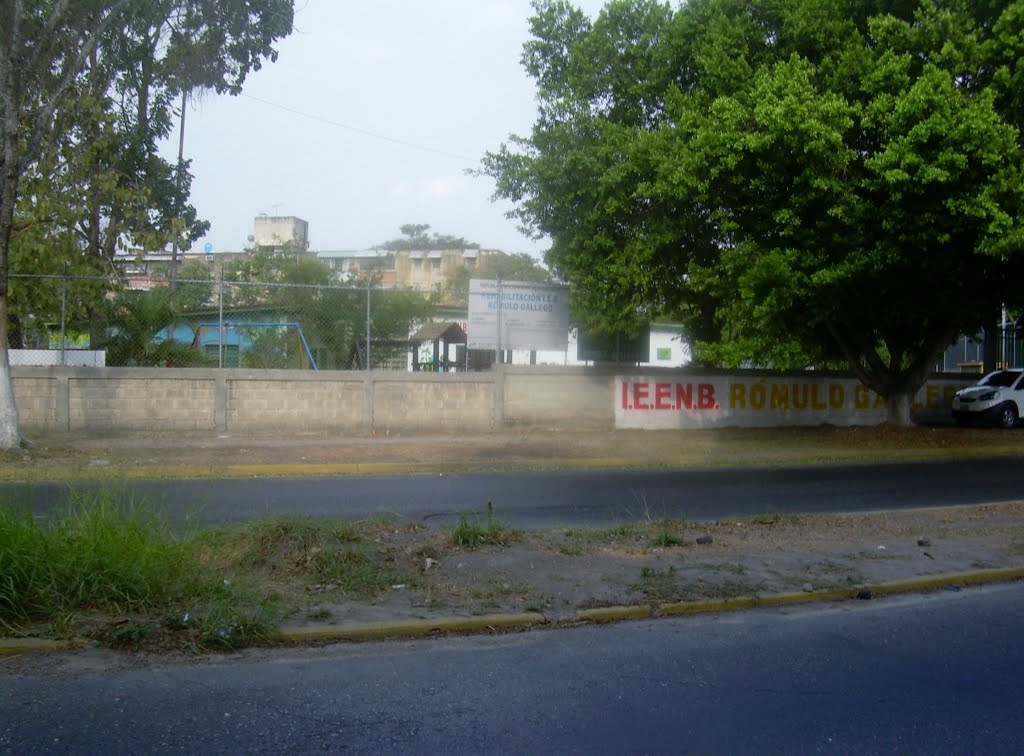 Urb. Caña de Azúcar - Estado Aragua (Venezuela) by Edgar Alexander Tova…