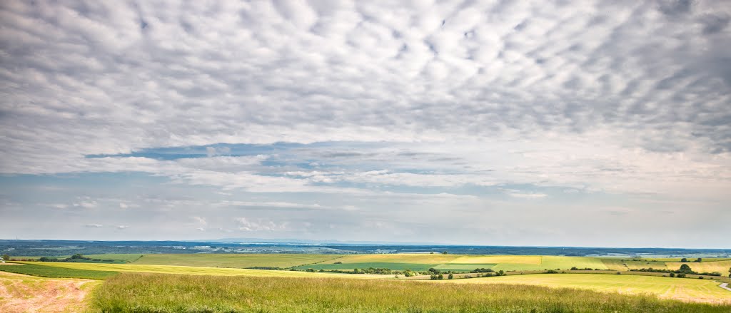 Landscape (south view) near Rouhling, Moselle department by RomanK1989