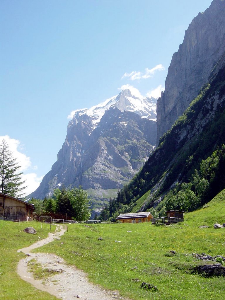 Wetterhorn vom Pfingstegg by masterod