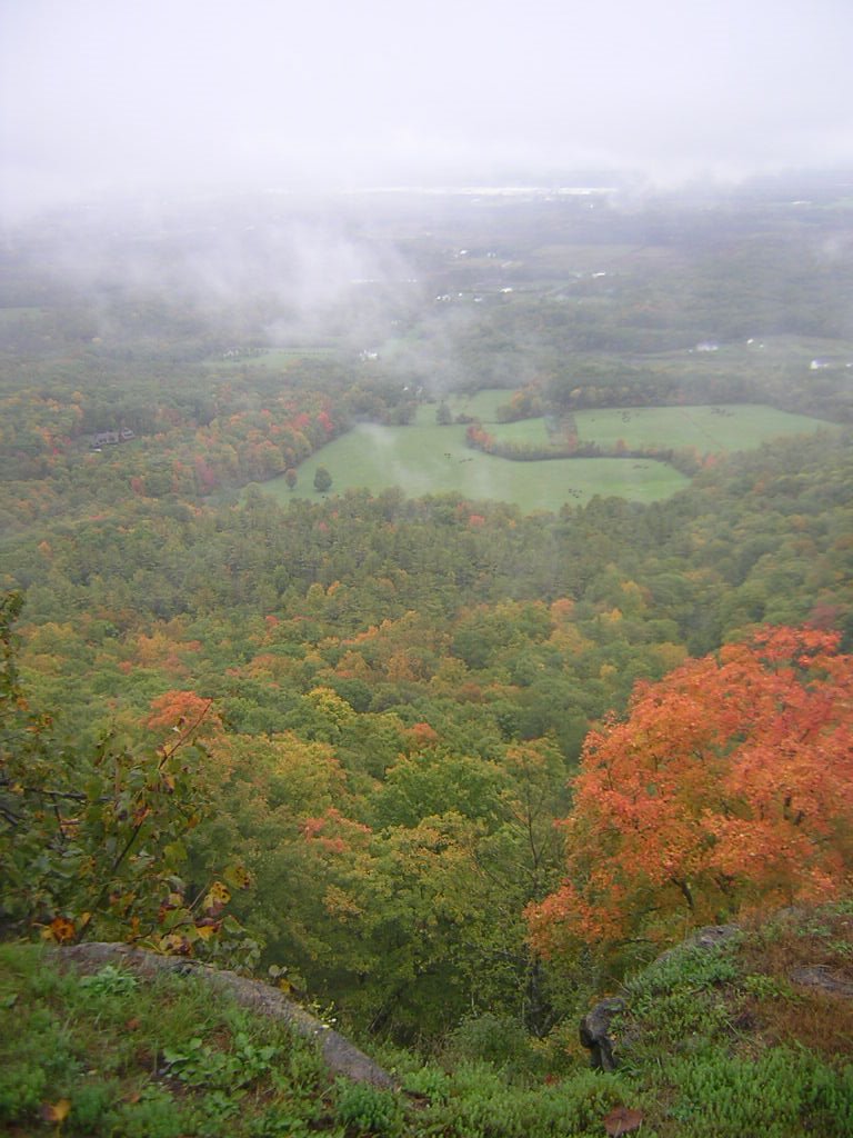 View from Thacher Park on a misty, rainy day by Bob Lee