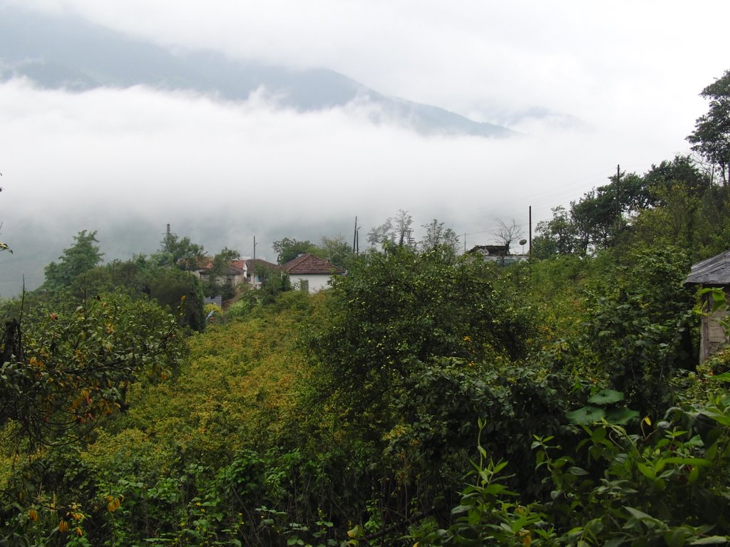 Kırandan harmanlar.hizarli koyu.trabzon by Ilhan Parçalı