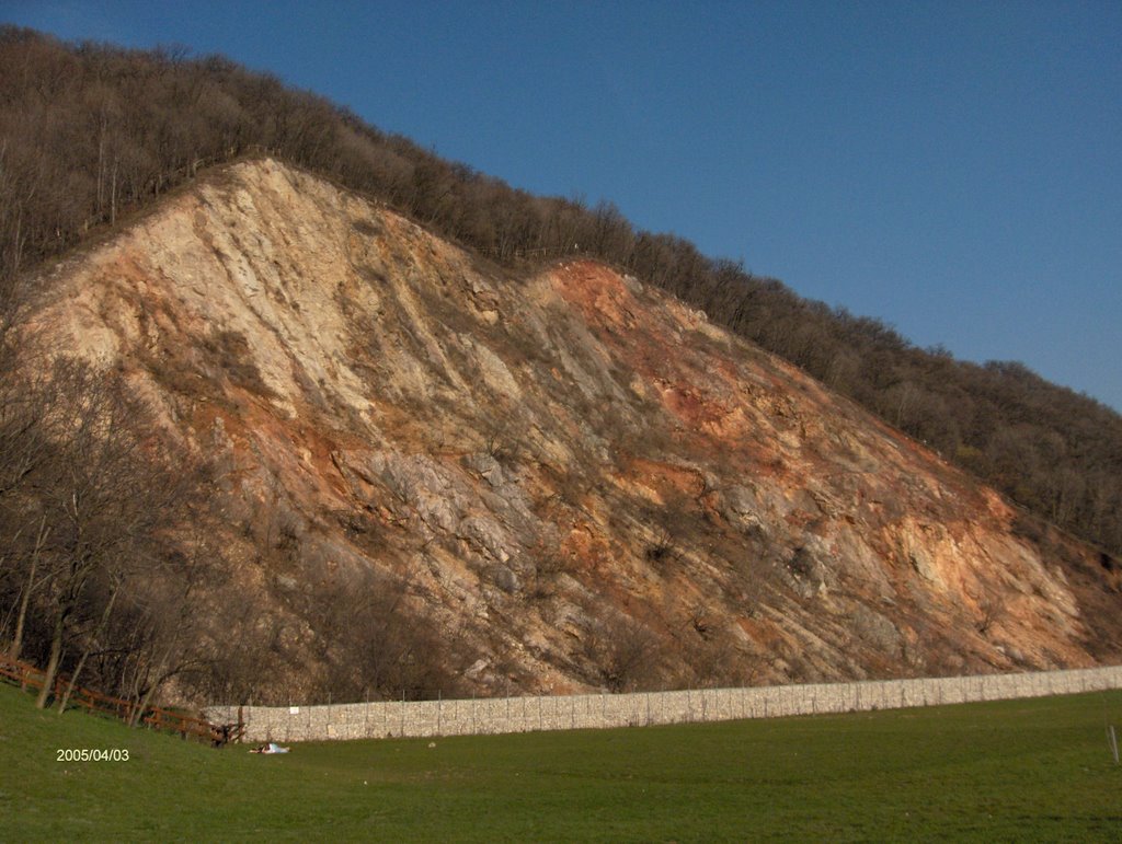 Csókakő tavasszal by Dr. Lendvai András