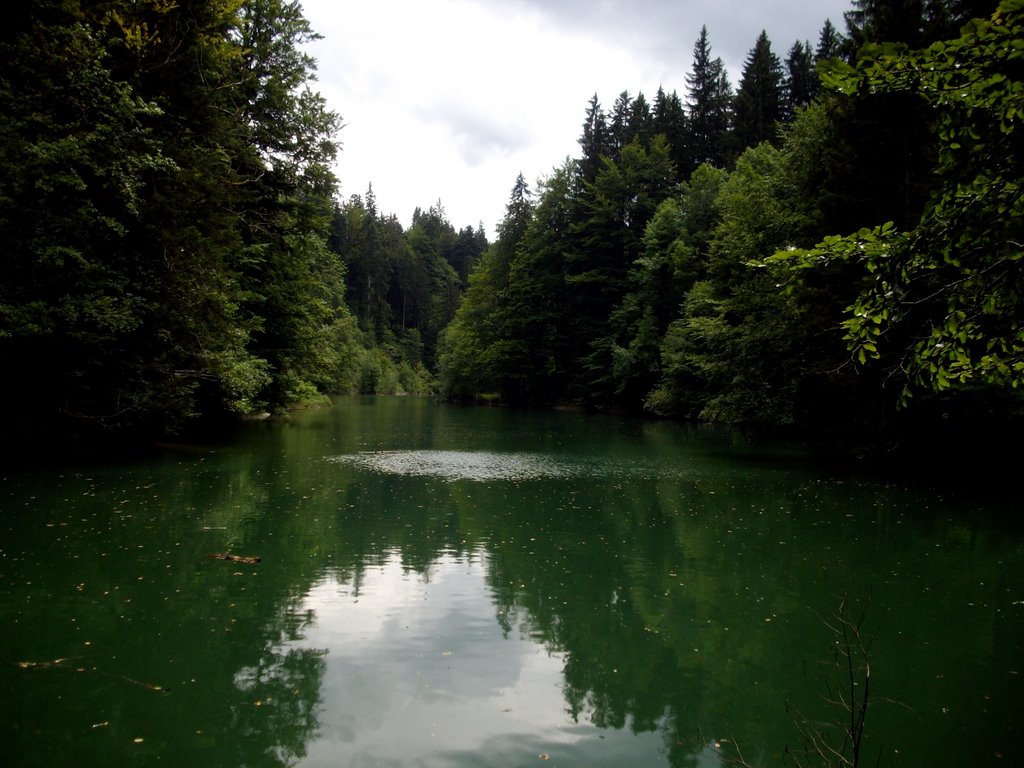 Stausee by holger mohaupt