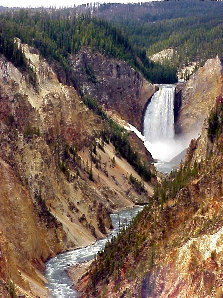 Yellowstone National Park WY by MovinSue