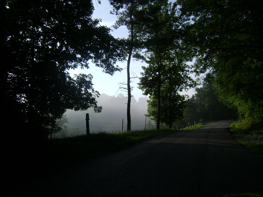 Limestone Branch Road, mid-morning, summer 08 by Brian Humphreys