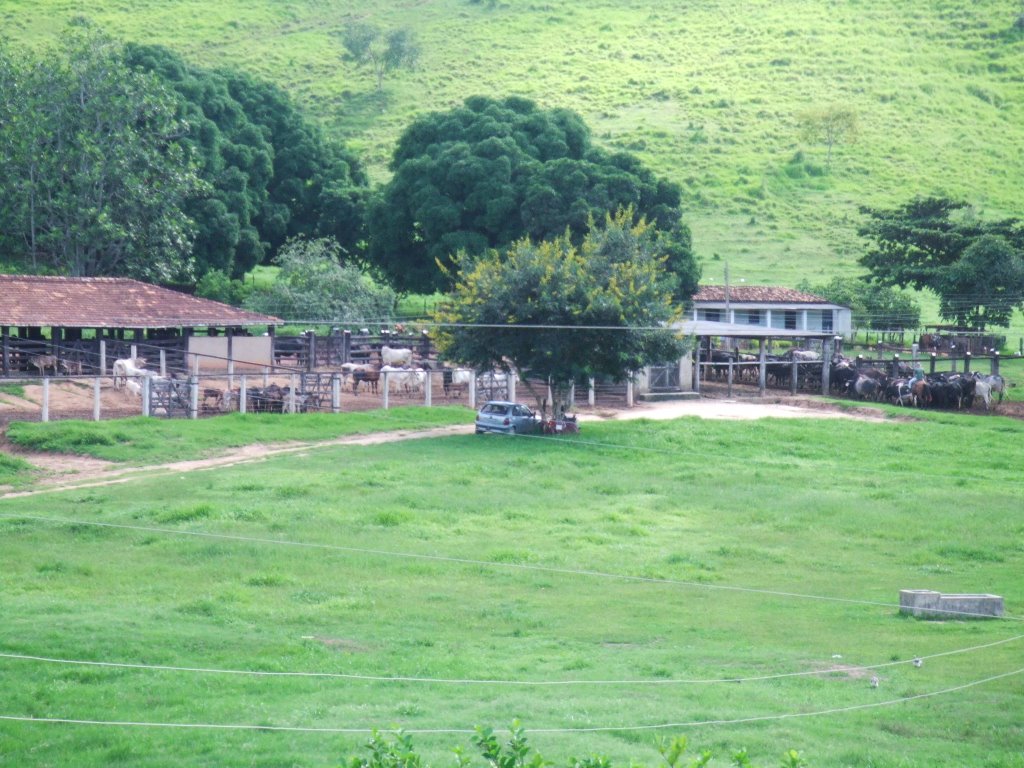 Fazenda Pitoresca by sammuelrs