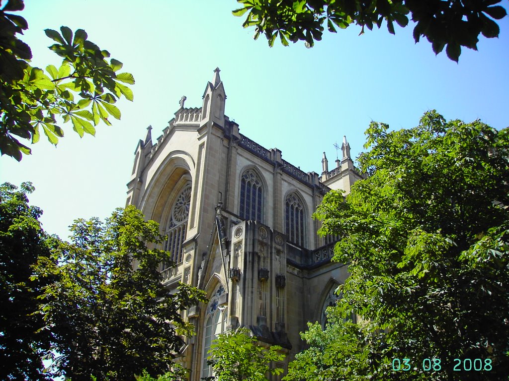 Catedral Nueva de Vitoria by Asieritus