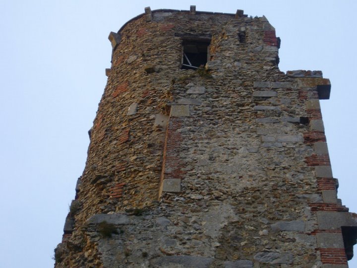 Montfort l'Amaury: ruines du château d'Anne de Bretagne by rv8427