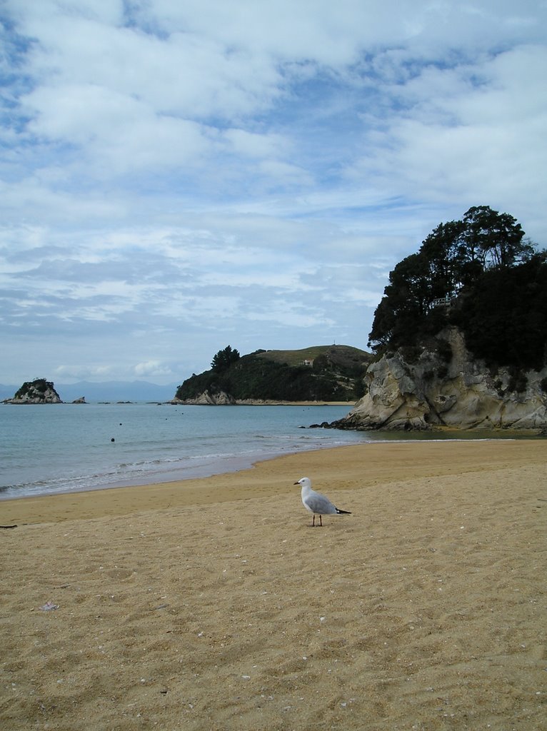 Kaiteriteri by connie_was_here