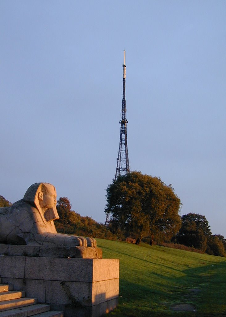 Sphinx in Early Morning Light by wendy flower