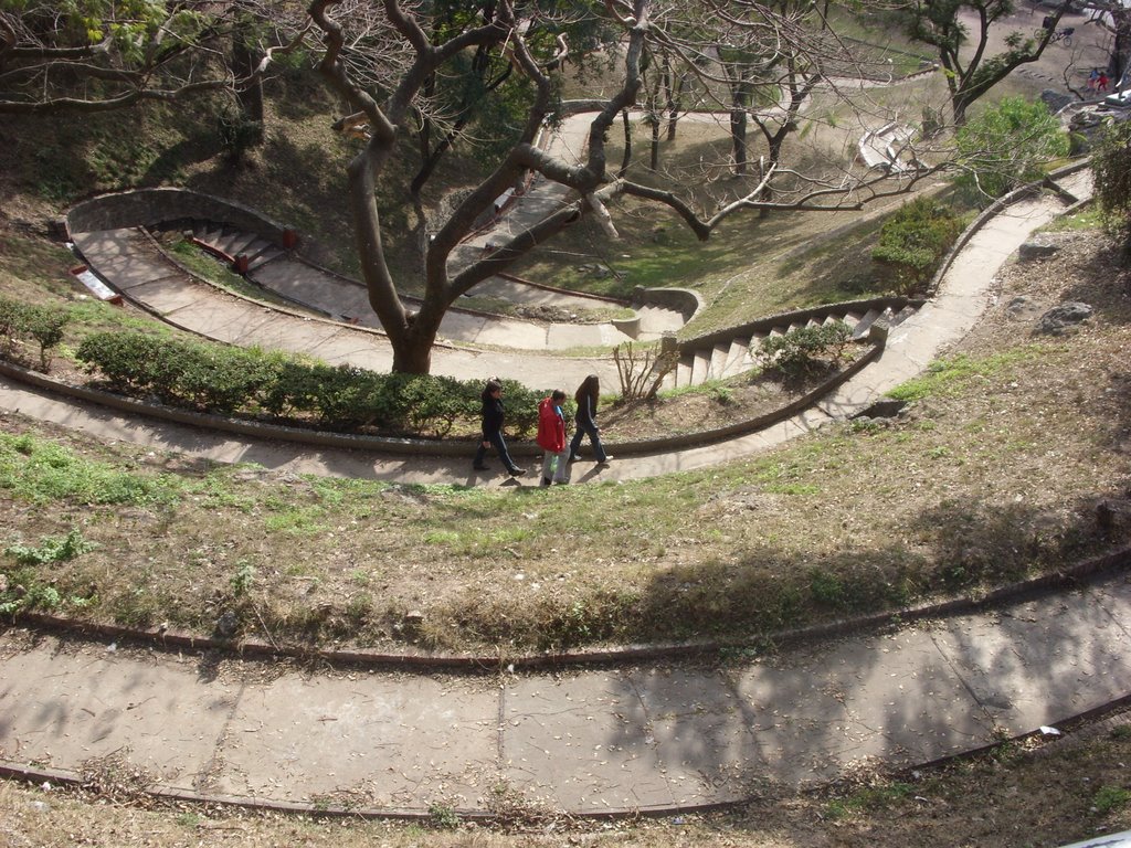 Descendiendo en el parque. RRZ by Rodolfo Roberto Zega