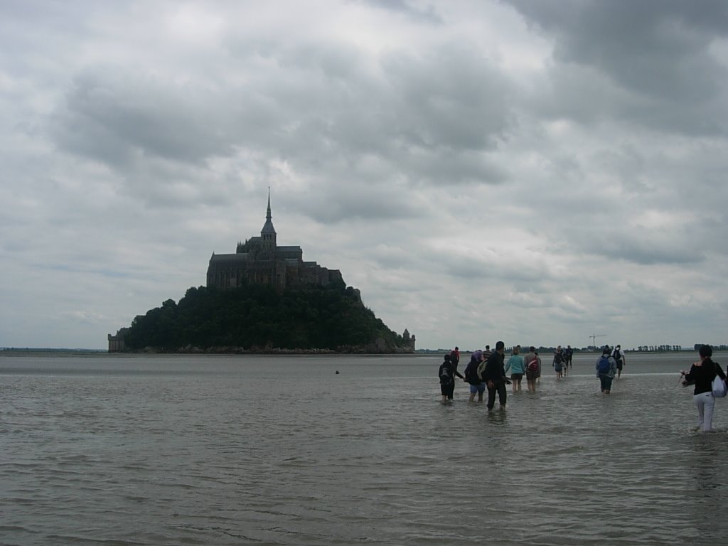 La Baie du Mont St Michel avant la marée by Despina K