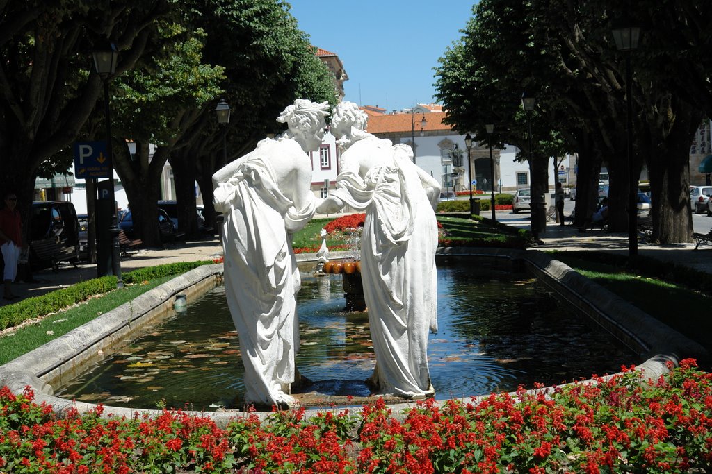 Avenida - Lamego by Manuel Doria Vilar