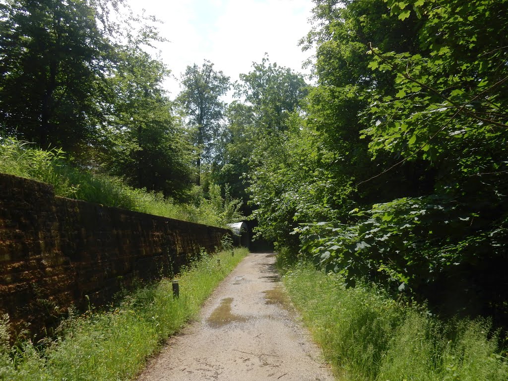 Clausen, Luxembourg City, Luxembourg by Nikos Sarantakos