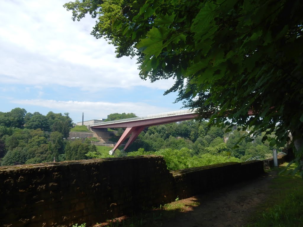 Pafendall, Lëtzebuerg, Luxembourg by Nikos Sarantakos