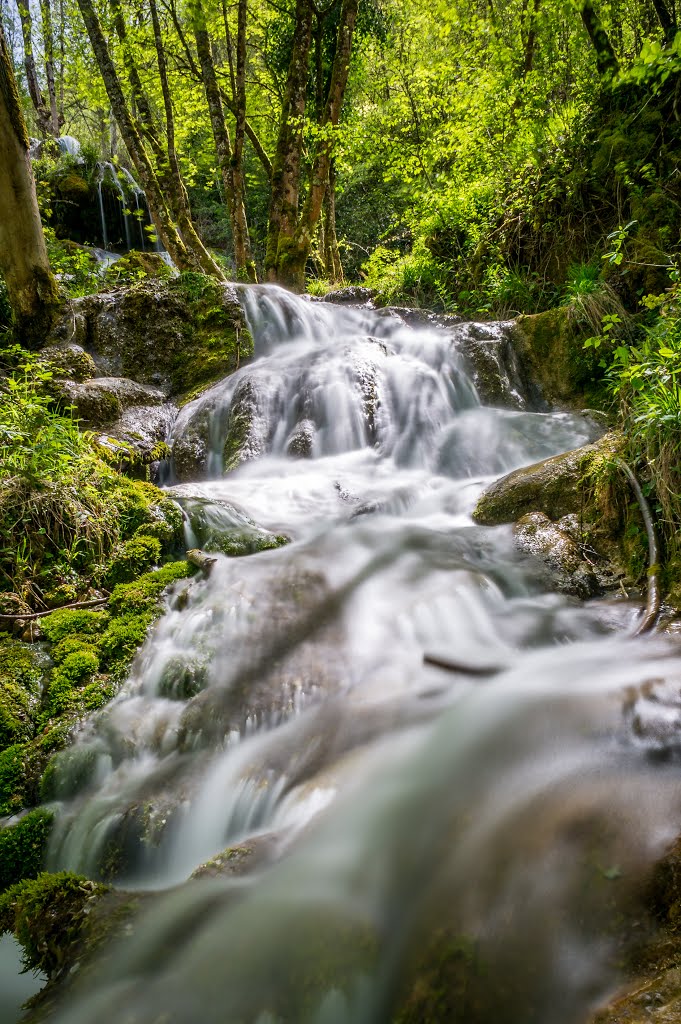 Cascade de la Turasse, Roquefort-les-Cascades by Nicolas Fourcade