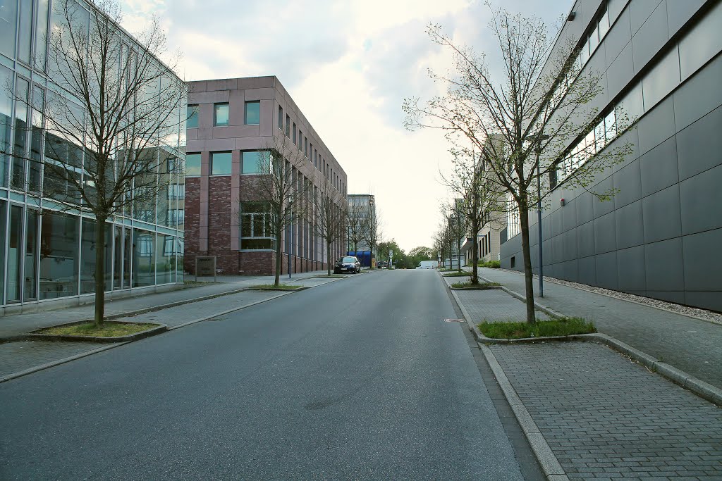 Lise-Meitner-Str. (Bochum-Querenburg) / 7.05.2016 by Daniil Bartholomae