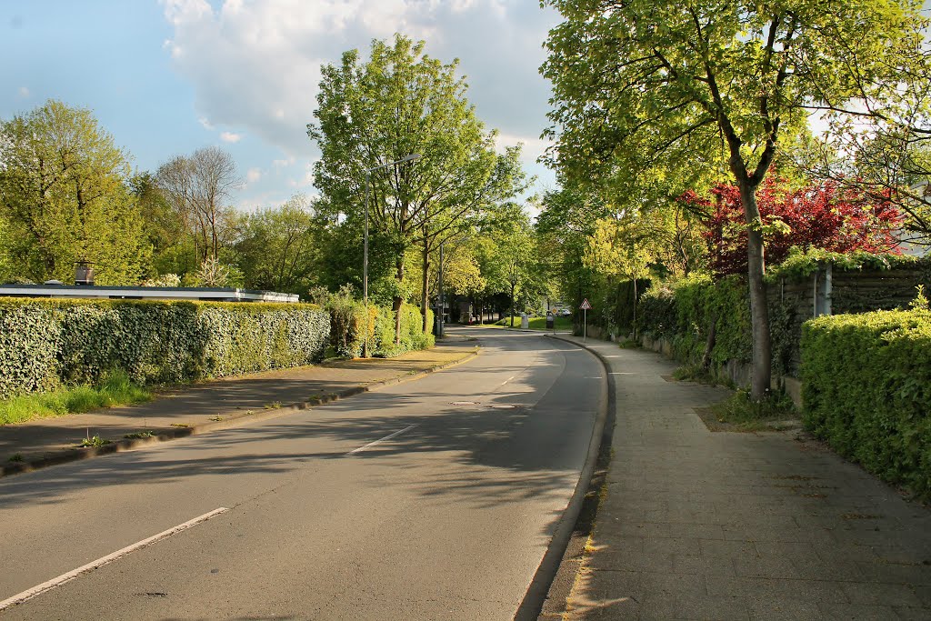 Schattbachstr. (Bochum-Querenburg) / 7.05.2016 by Daniil Bartholomae