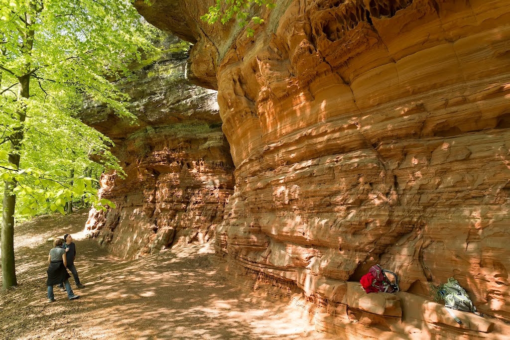 Altschlossfelsen bei Eppenbrunn/Pfalz by Hartmut Heinemann