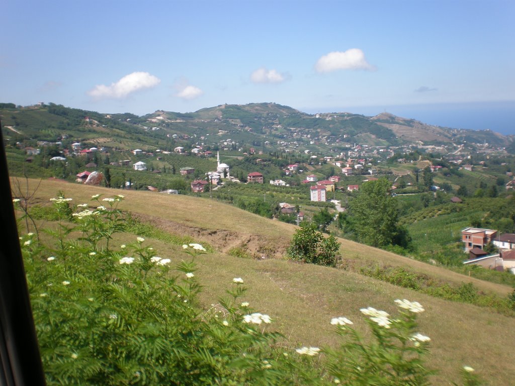 KÖYIMIZ AYVALI KÖY BERADAN BAKIS by MUSTAFA  USTA