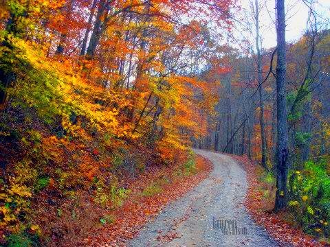 WV Autumn by Lauren LeRose Davids…