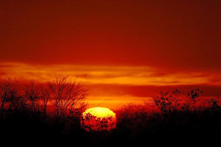 ALBA SUL PARCO LAMBRO by rom@rio