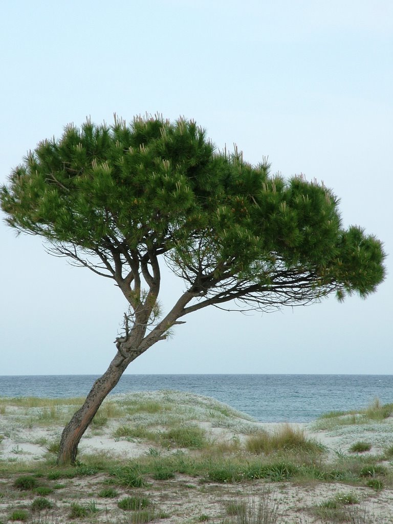 Budoni (NU) - Spiaggia di S.Anna. by bonamix