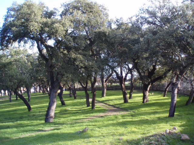 Parque del Alcornocal. by Manuel Díaz Martín L…