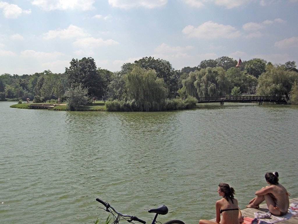 Lake with little island by Szilárd Hegedüs