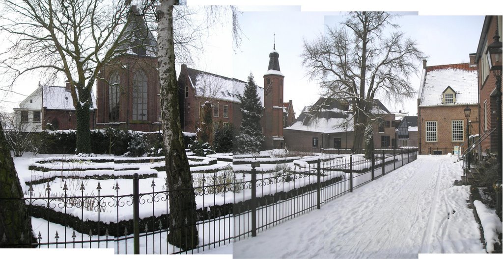 Harderwijk - Hortus Botanicus - Winterview West towards Hortus, Linneaus Tower and Europe´s oldest Ginko Biloba Tree by txllxt