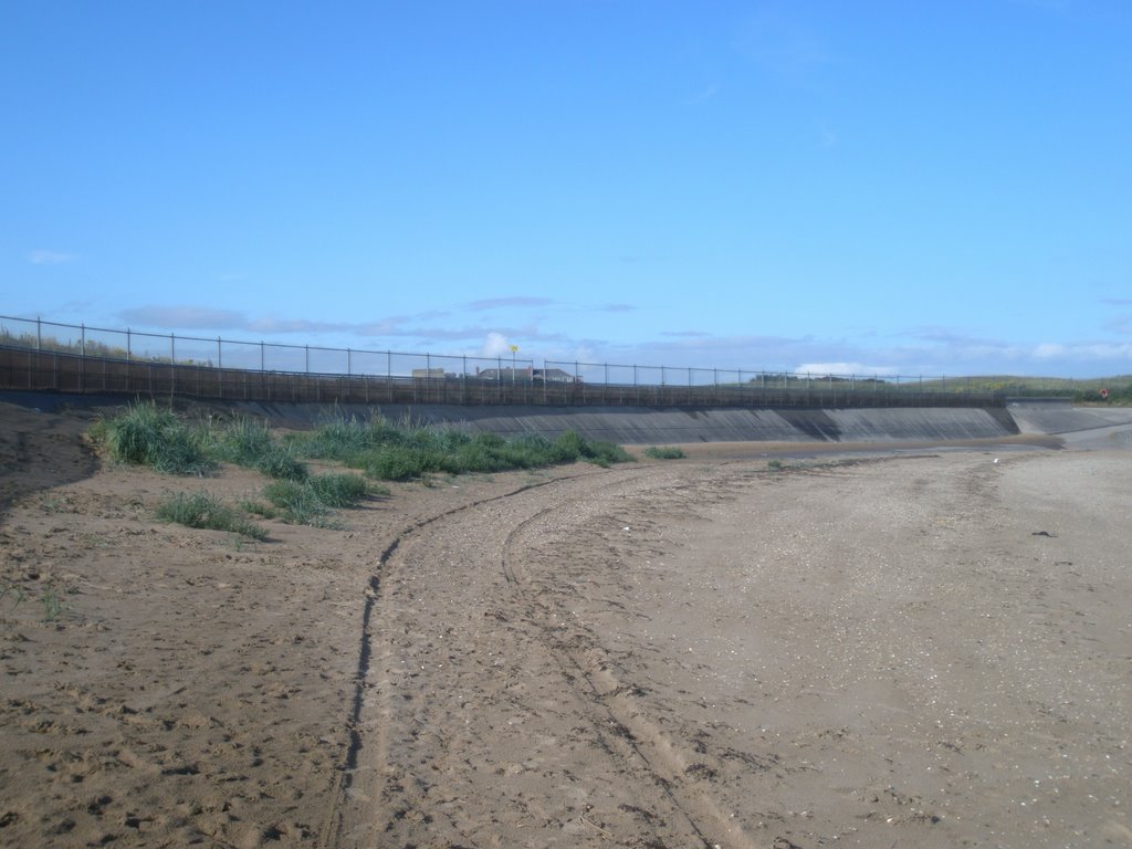 Grass and flowers colonising the sand at Leasowe by merseygolfnews